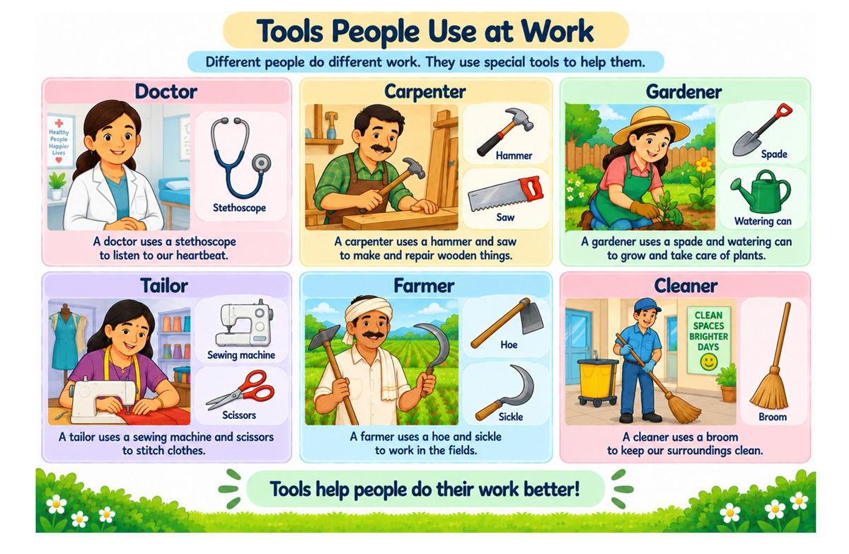 CBSE Class 1 World Around Us — Illustrated Knowledge Bank