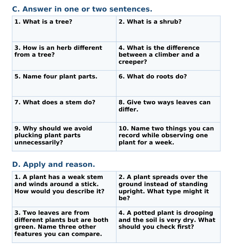 CBSE Class 3 World Around Us — Illustrated Knowledge Bank