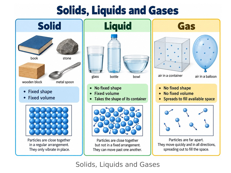 ICSE Class 3 EVS / Science — Illustrated Knowledge Bank