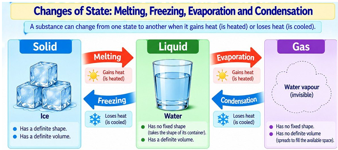 ICSE Class 4 EVS / Science — Illustrated Knowledge Bank