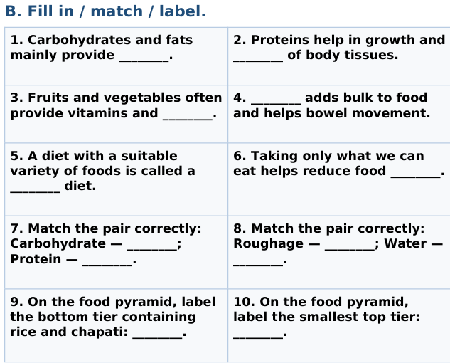 ICSE Class 4 EVS / Science — Illustrated Knowledge Bank